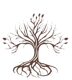 Logomarca de Jane Pereira